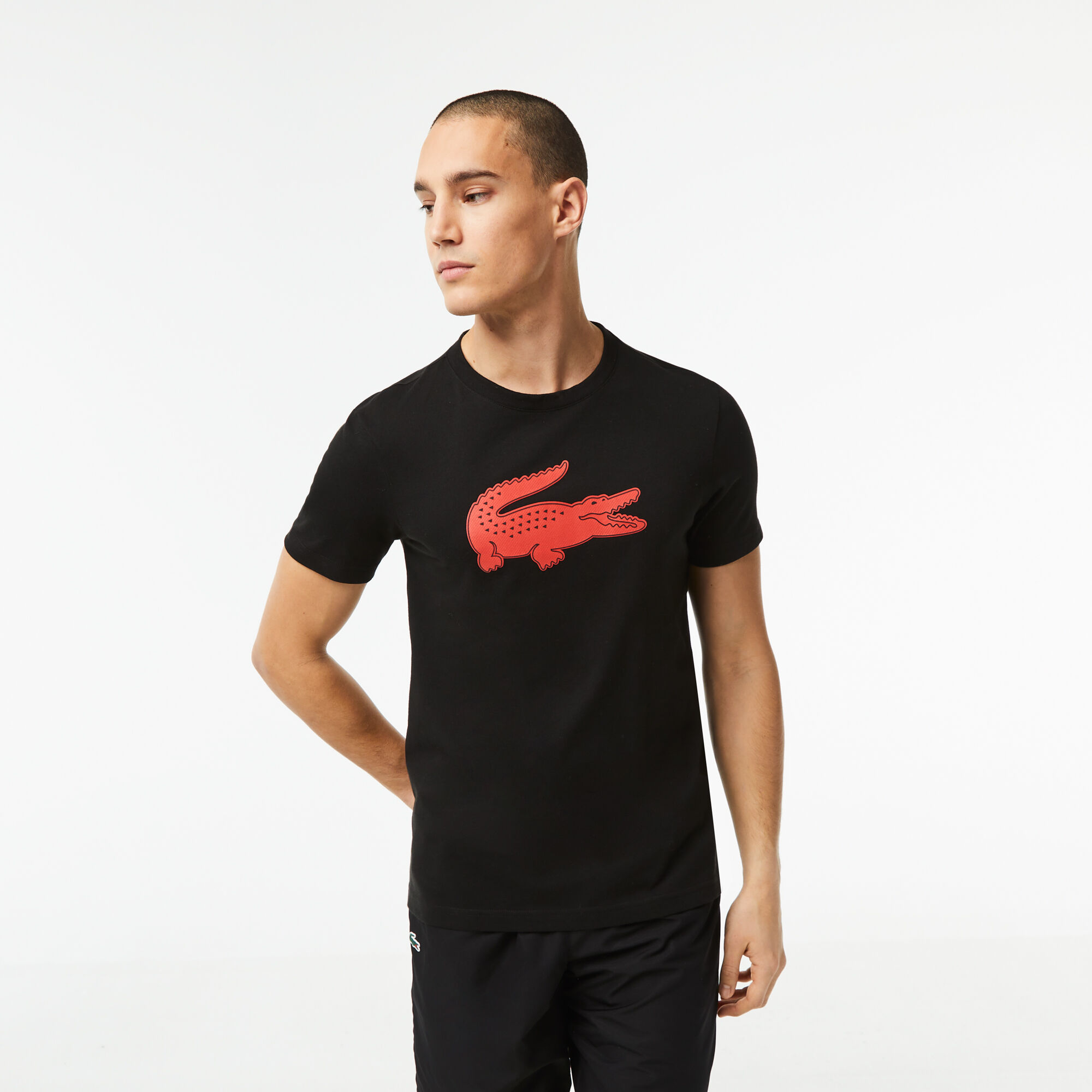 Buy Ultra Dry XXL Logo Sport T shirt Lacoste QA