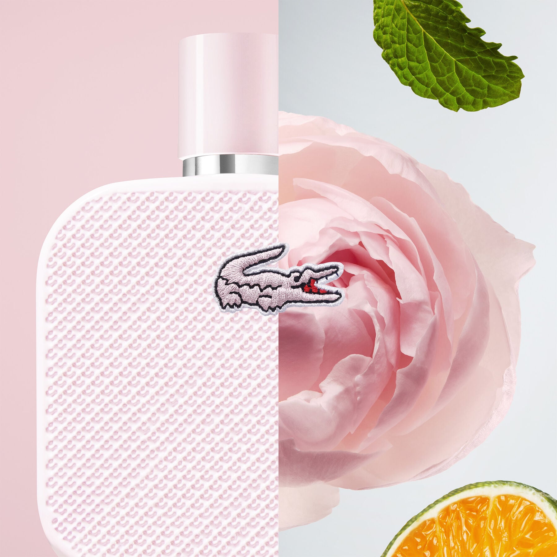 عطر LCT L1212 روز EDP 100 مل