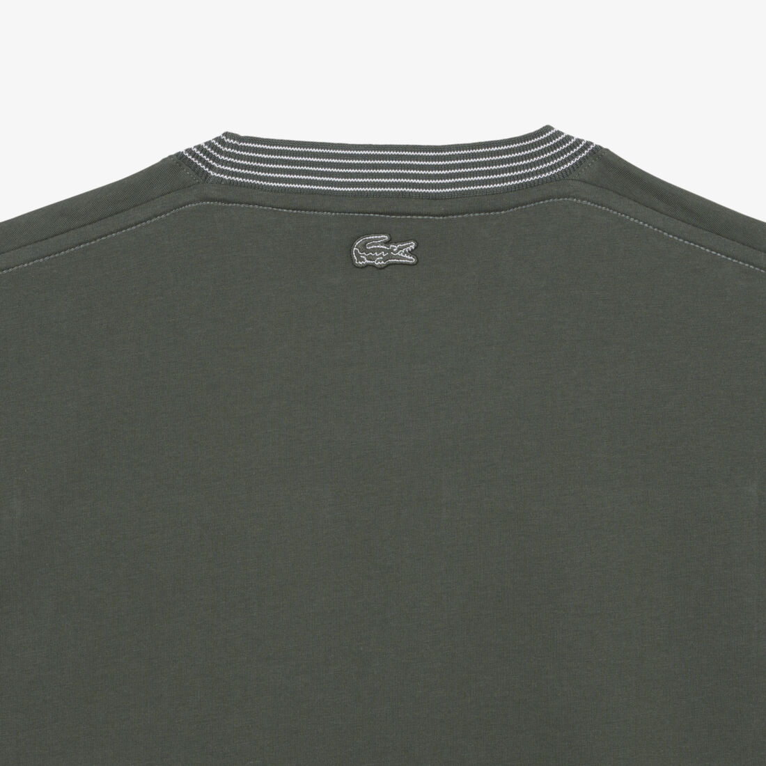 تي شيرت قطن جيرسي مطرز تي شيرت قطن جيرسي مطرز