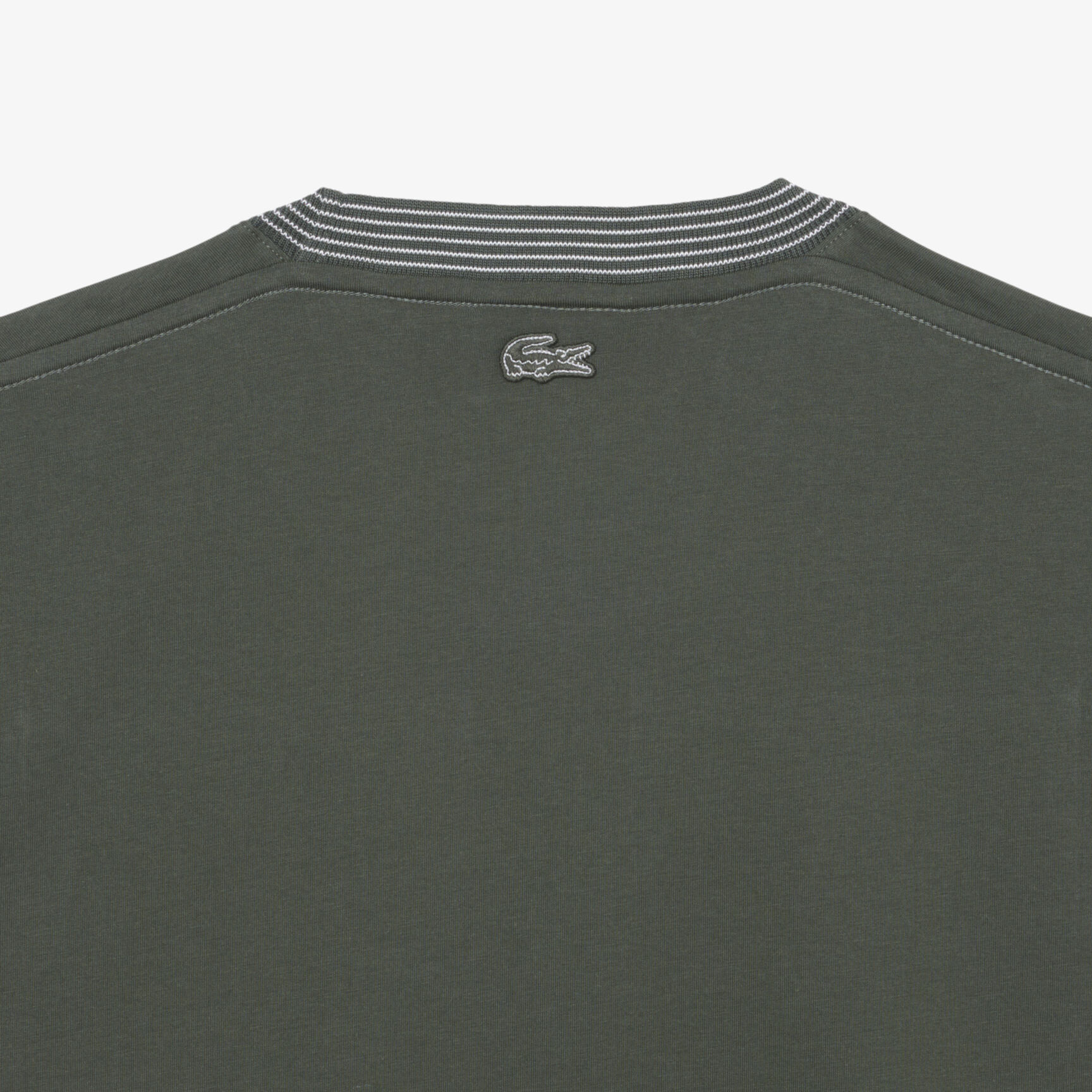 تي شيرت قطن جيرسي مطرز تي شيرت قطن جيرسي مطرز