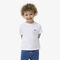 Unisex Cotton Crew Neck T-shirt lacoste unisex cotton crew neck t shirt