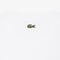 Printed Cotton T-shirt lacoste printed cotton t shirt