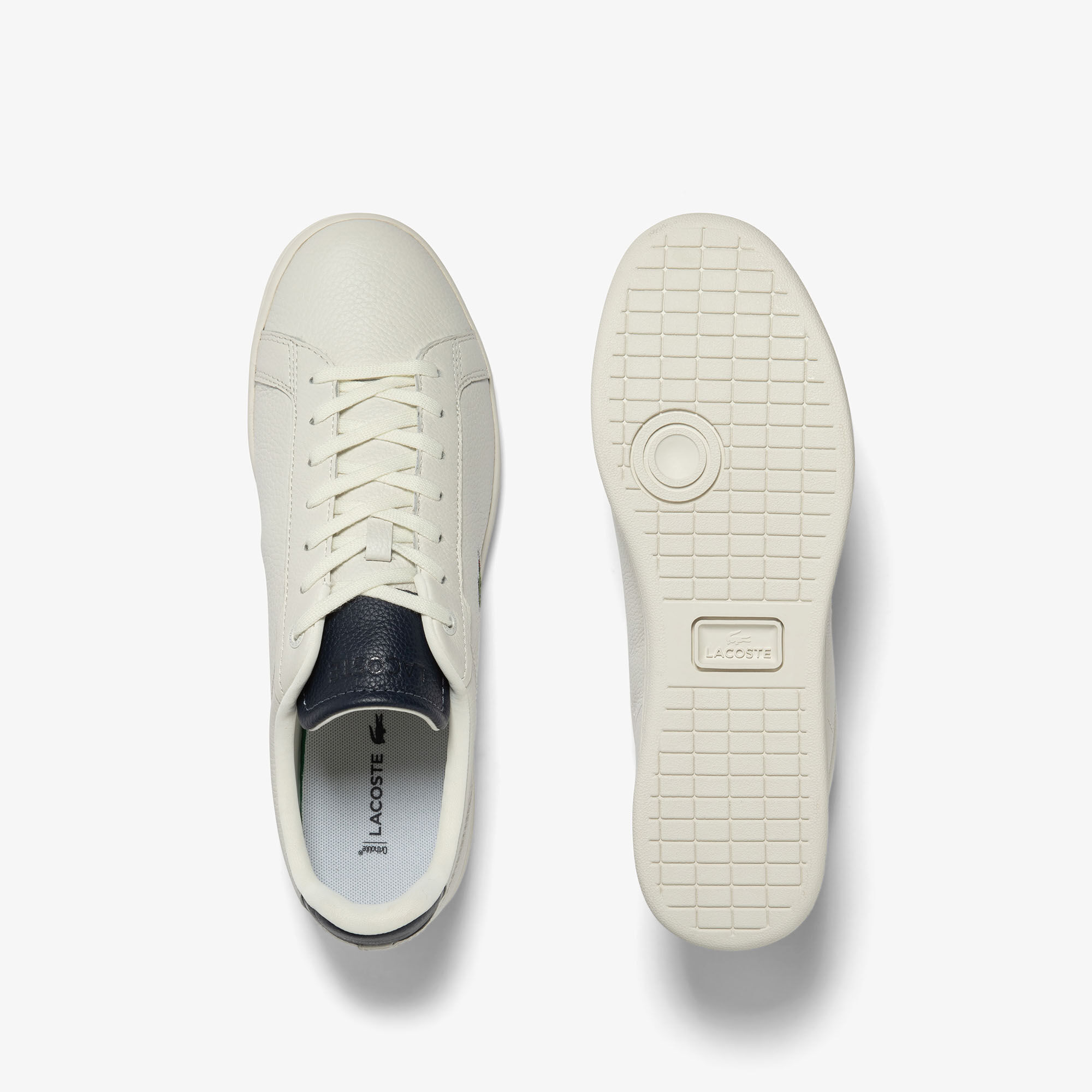 Lacoste carnaby retro online