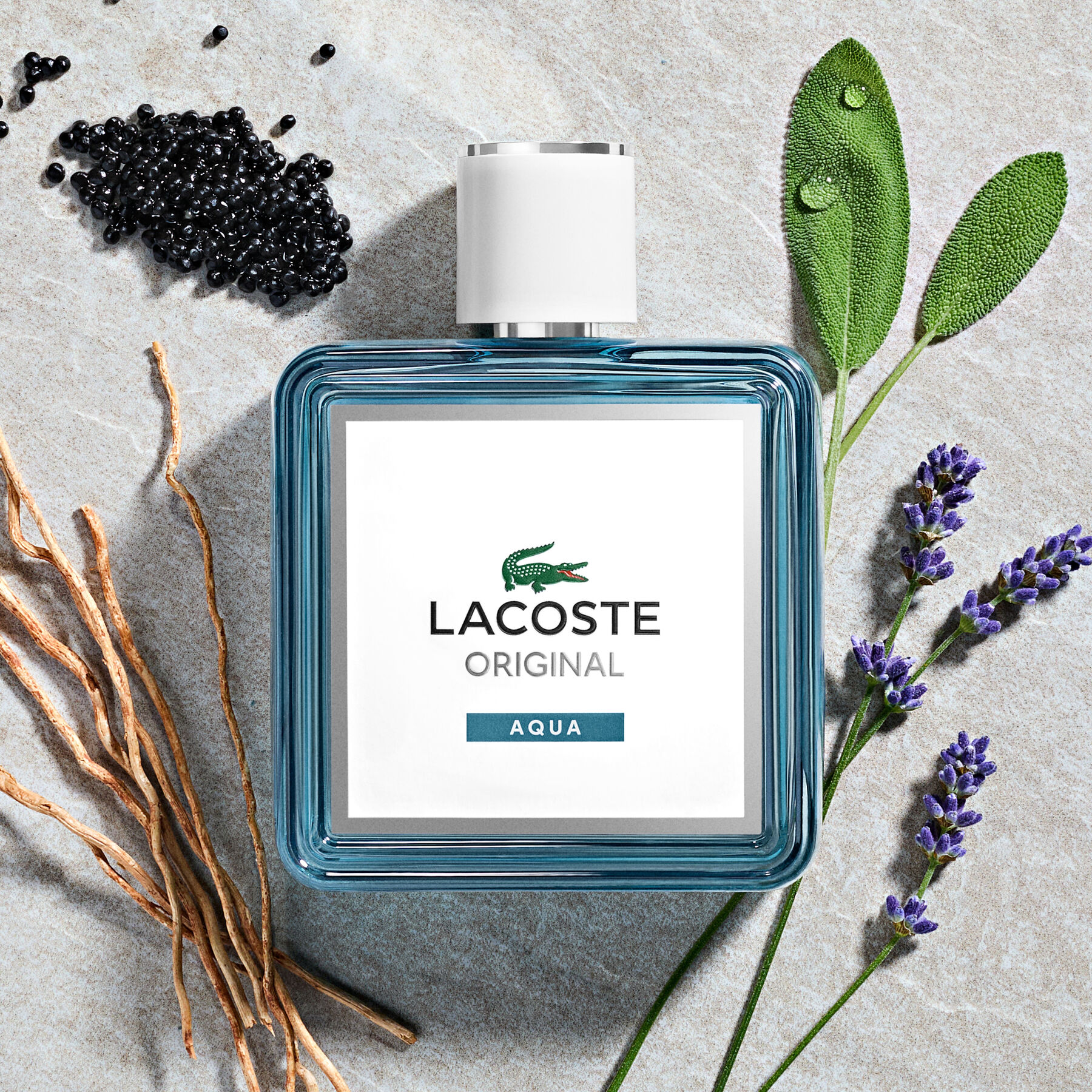 lacoste men aqua edp 100ml