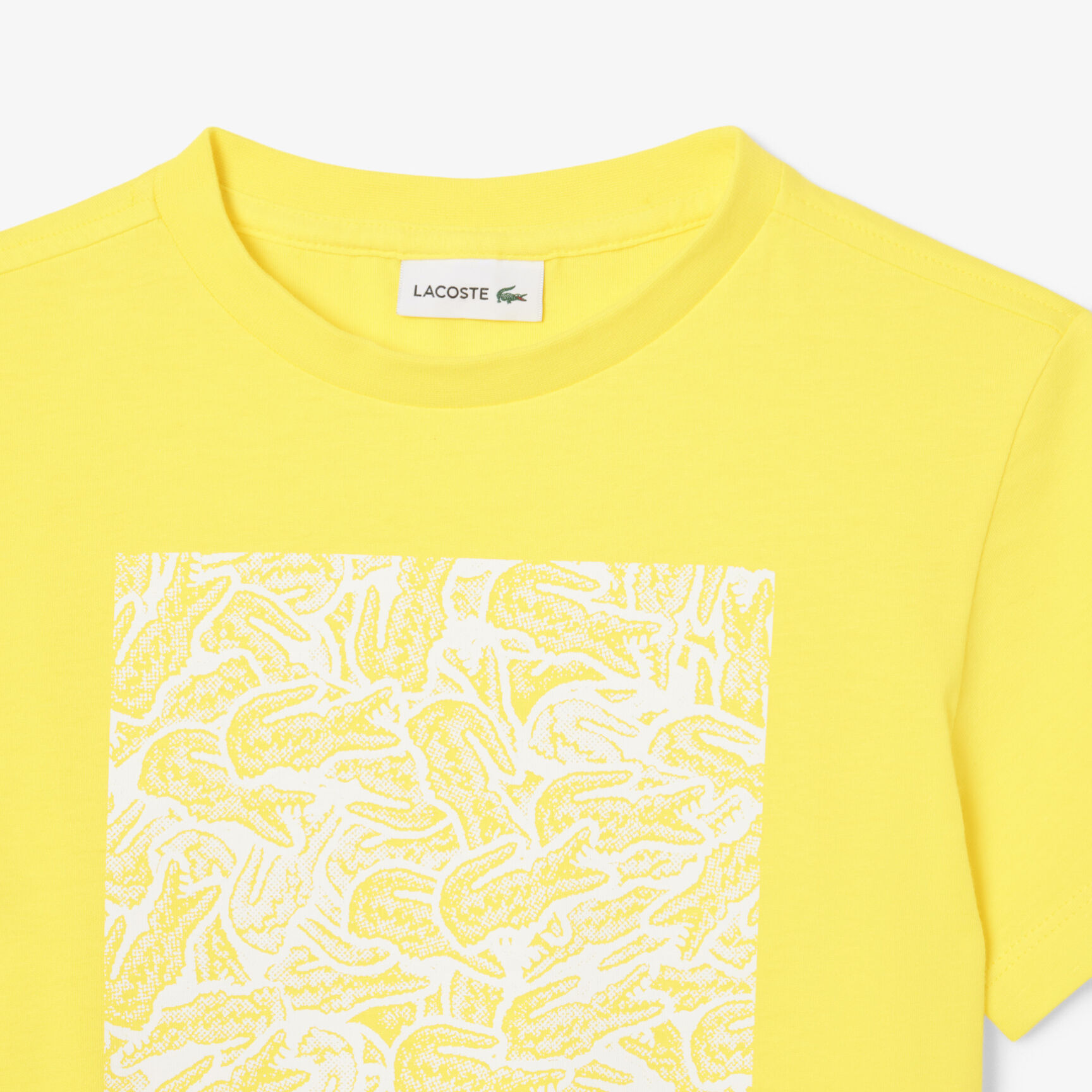 Print Cotton T-shirt