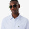 lacoste regular fit striped oxford shirt