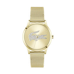 Crocodelle Watch