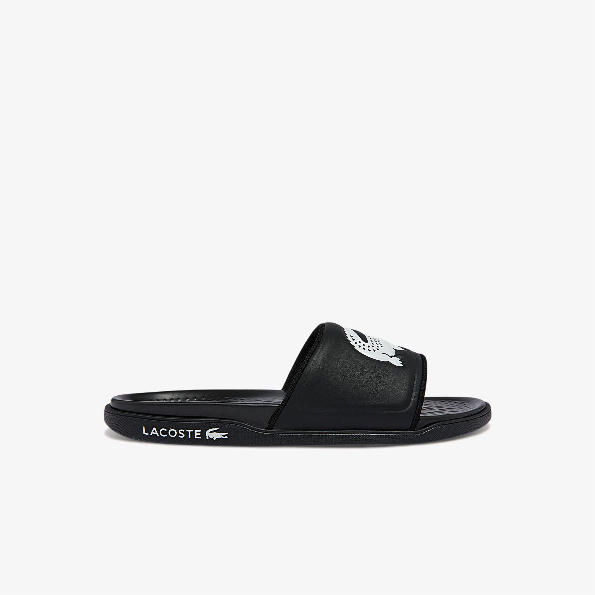 Lacoste slippers mens shop