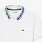 Petit Pique Polo Shirt lacoste petit pique polo shirt