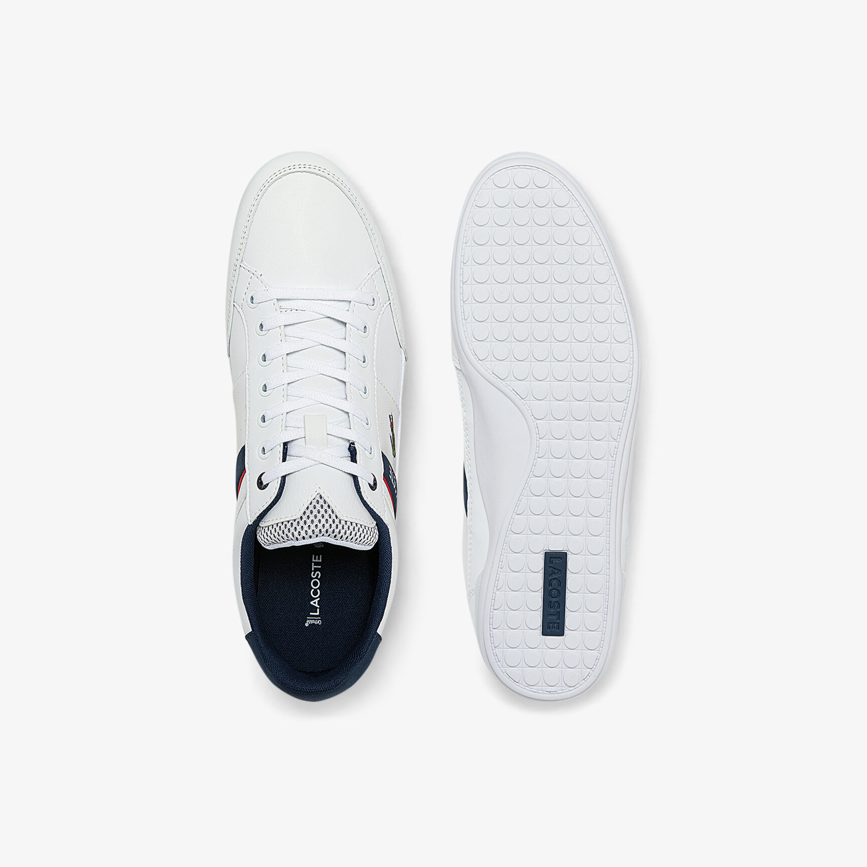 Buy Men's Chaymon Textile and Synthetic Trainers | Lacoste QA