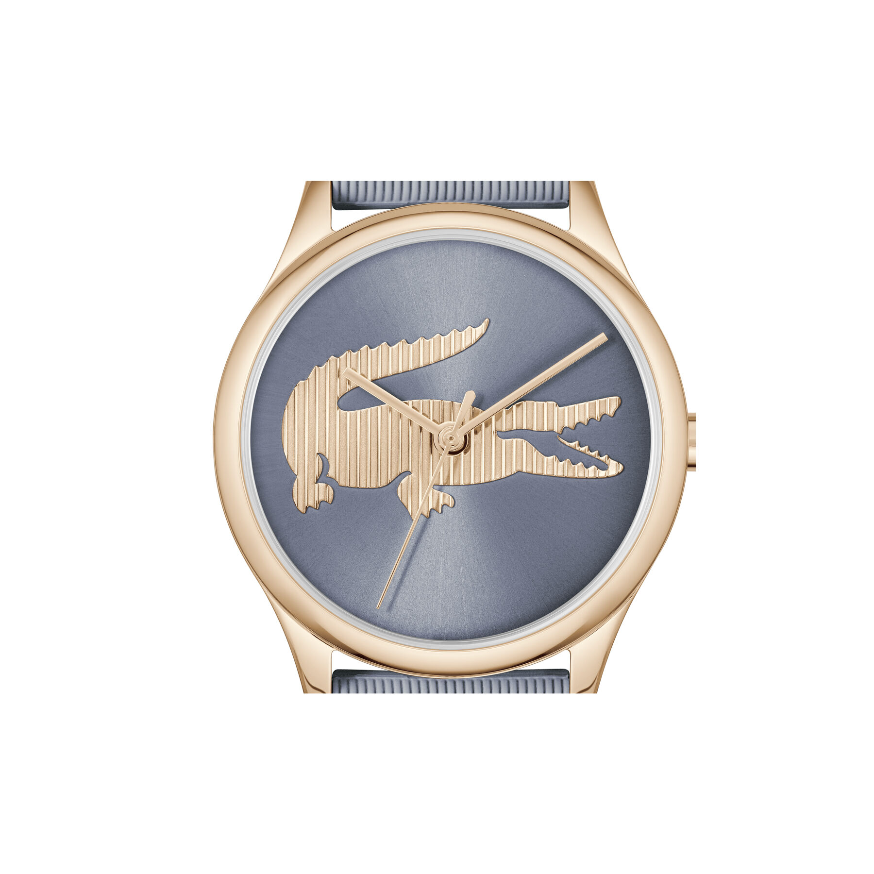 Crocodelle Watch Crocodelle Watch