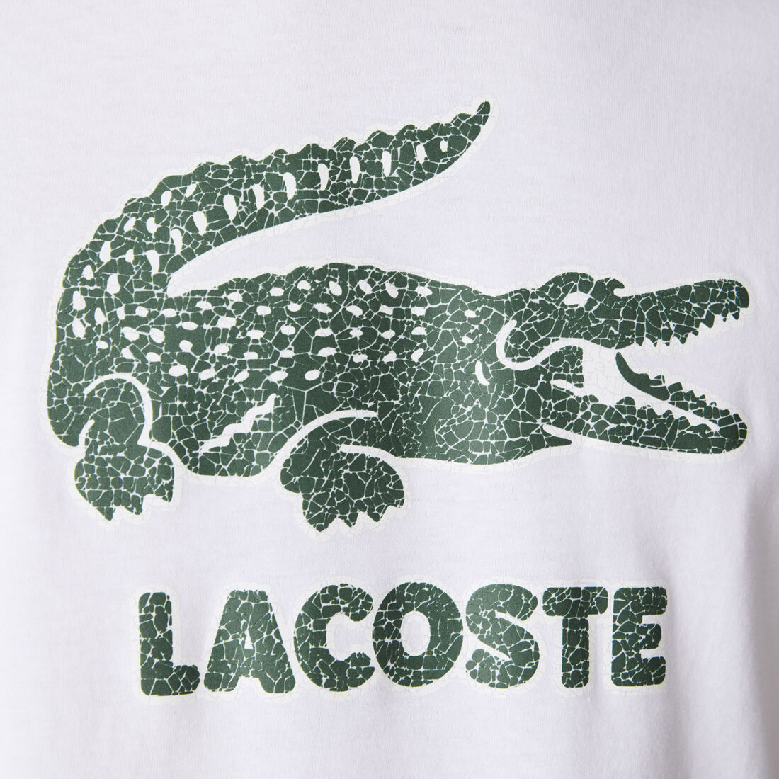 Men’s Crew Neck Crackled Logo Print Cotton T-shirt Men’s Crew Neck Crackled Logo Print Cotton T-shirt