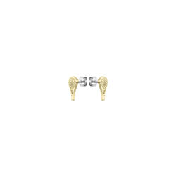 lacoste stud earrings