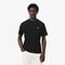 Cotton T-shirt lacoste cotton t shirt