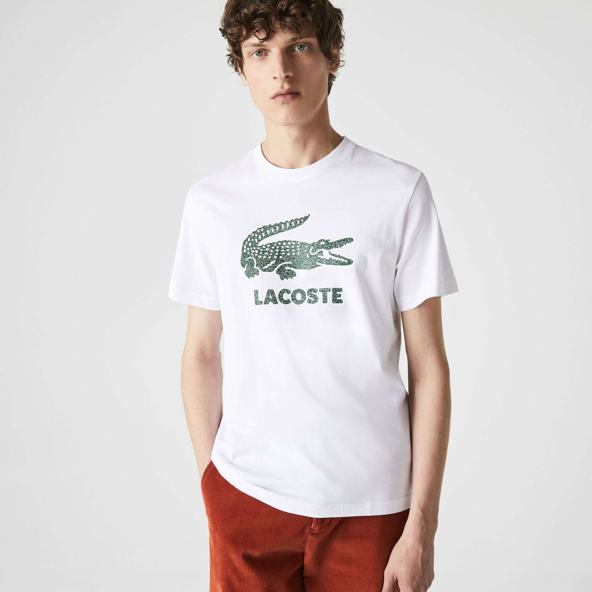 Lacoste logo buy store