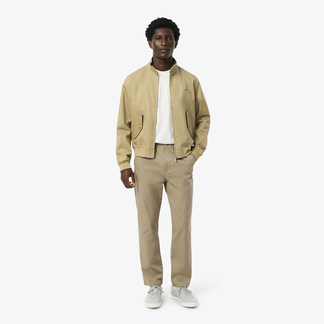 Regular Fit Cotton Gabardine Chino Pants