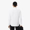 lacoste men s slim fit premium cotton shirt