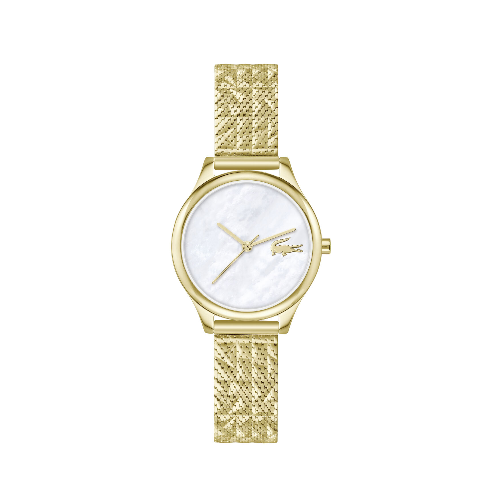 Thin Gold-Plated Steel Women's Watch Thin Gold-Plated Steel Women's Watch