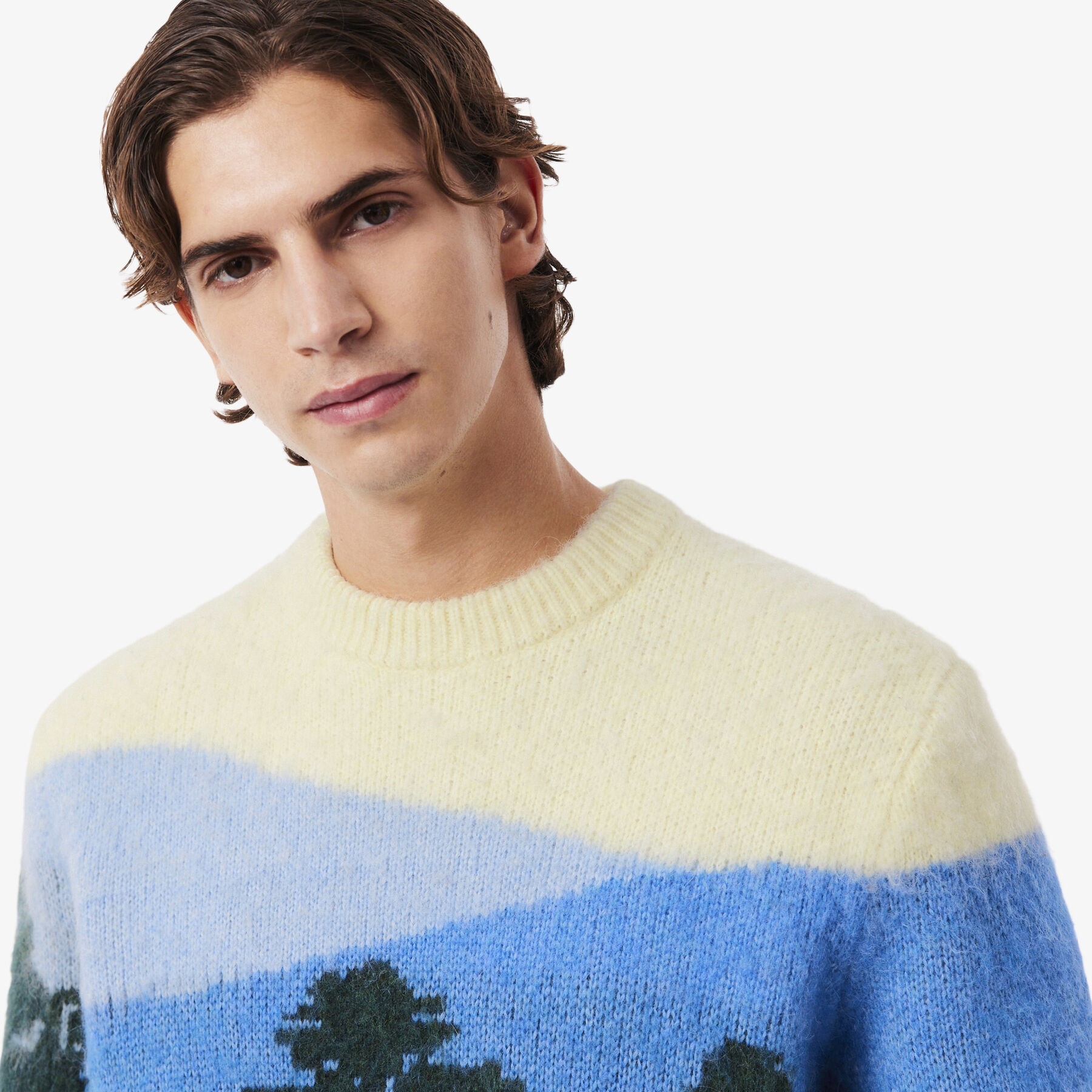 Landscape Jacquard Alpaca Wool Sweater Landscape Jacquard Alpaca Wool Sweater