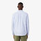 lacoste regular fit striped oxford shirt