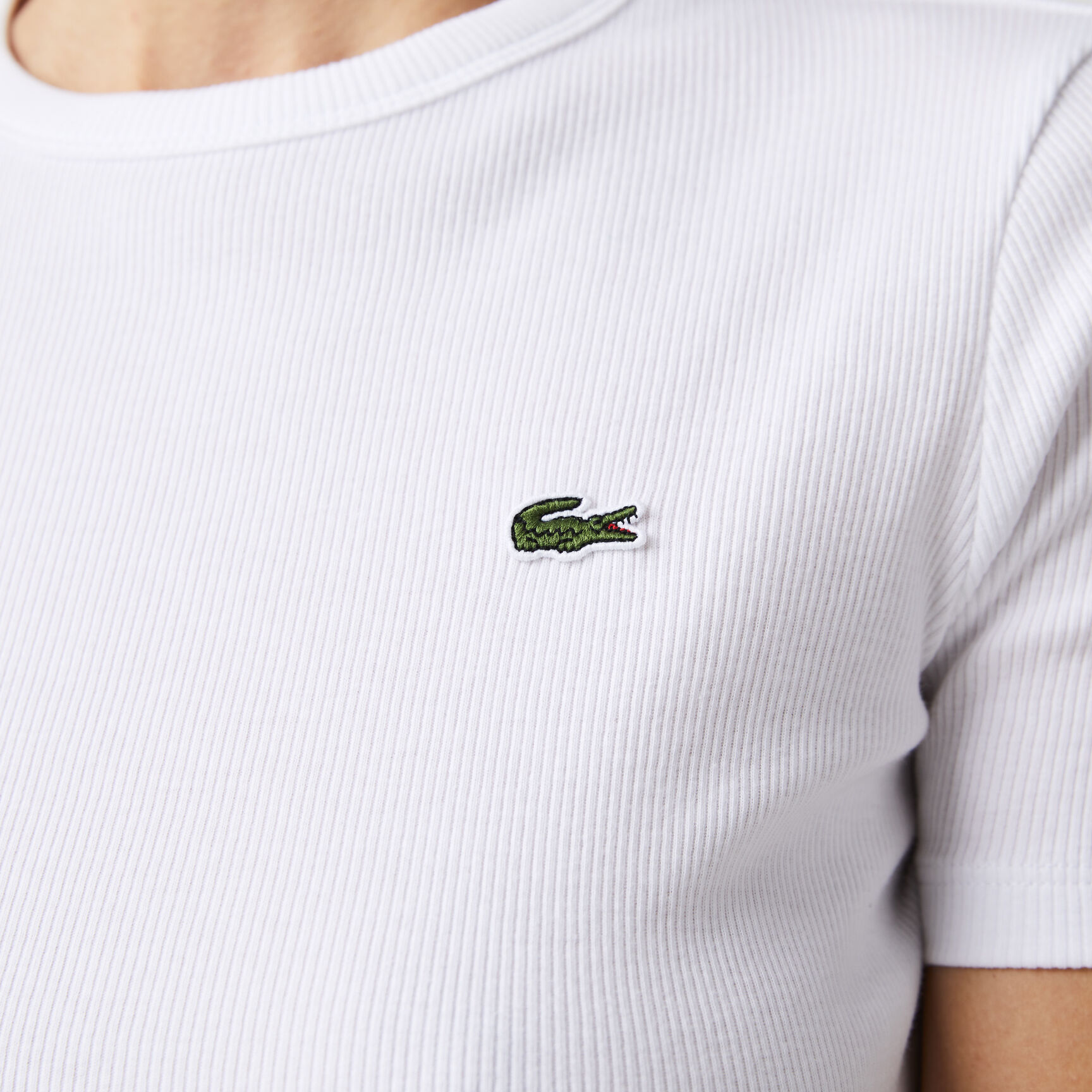 Women's Soft Cotton Crew Neck T-shirt Women's Soft Cotton Crew Neck T-shirt