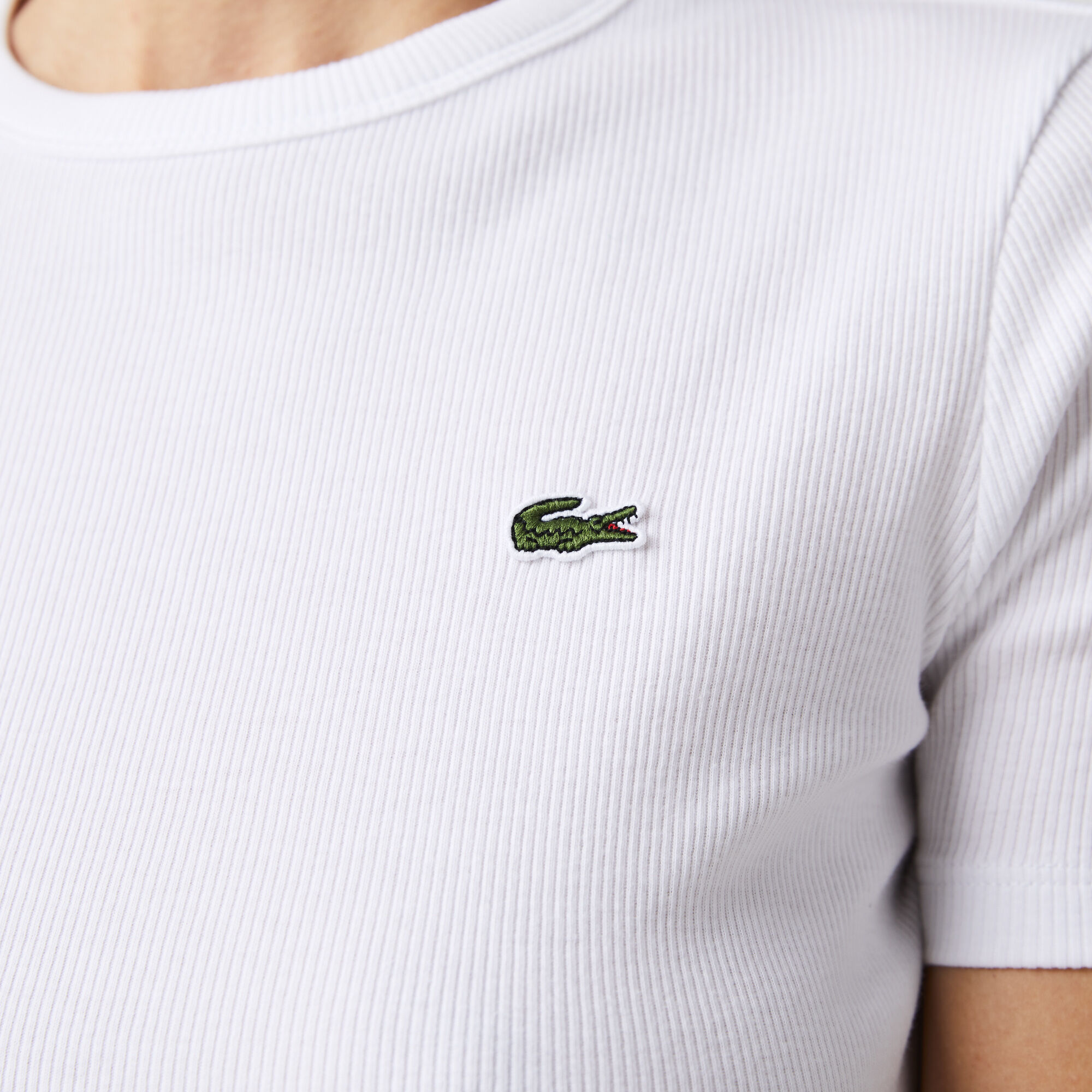 Women’s Soft Cotton Crew Neck T-shirt Women’s Soft Cotton Crew Neck T-shirt