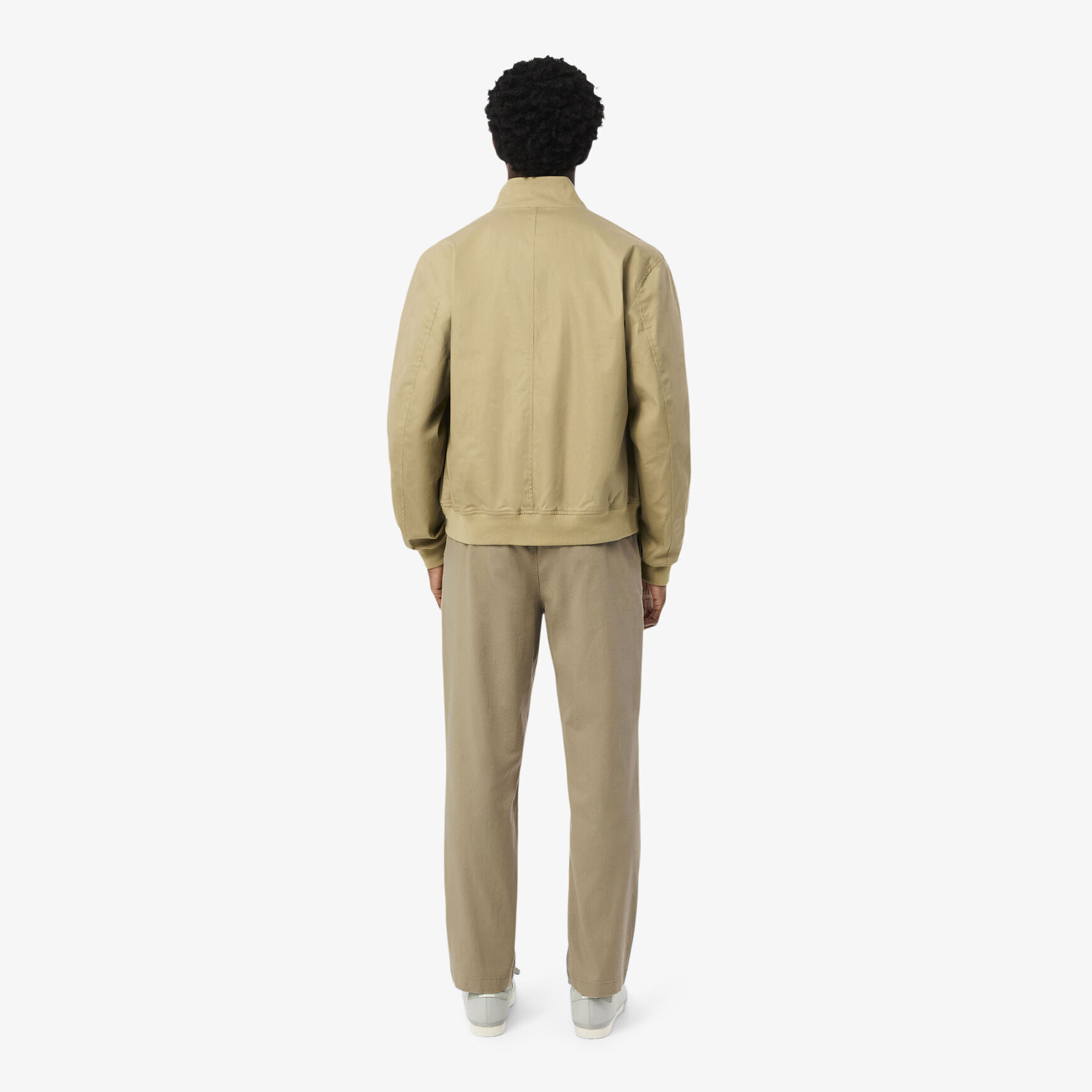 Regular Fit Cotton Gabardine Chino Pants