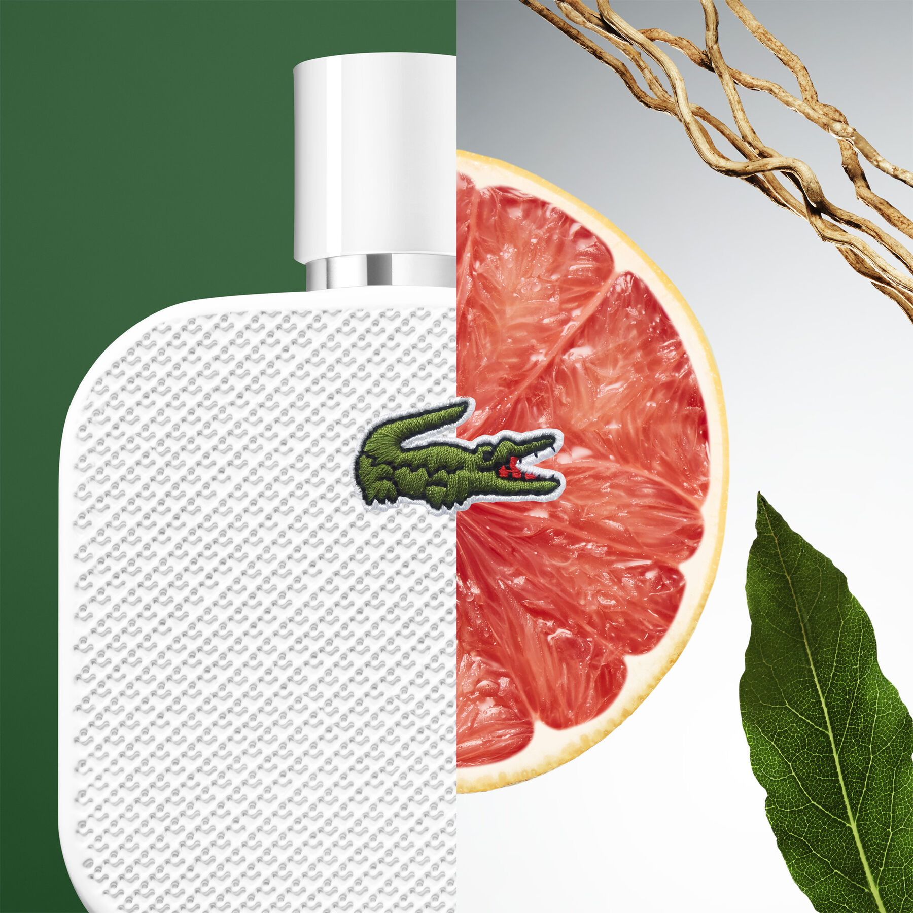 عطر L1212 بلانك 100 مل عطر L1212 بلانك 100 مل