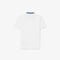 Petit Pique Polo Shirt lacoste petit pique polo shirt