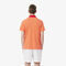 lacoste tennis x novak djokovic shorts