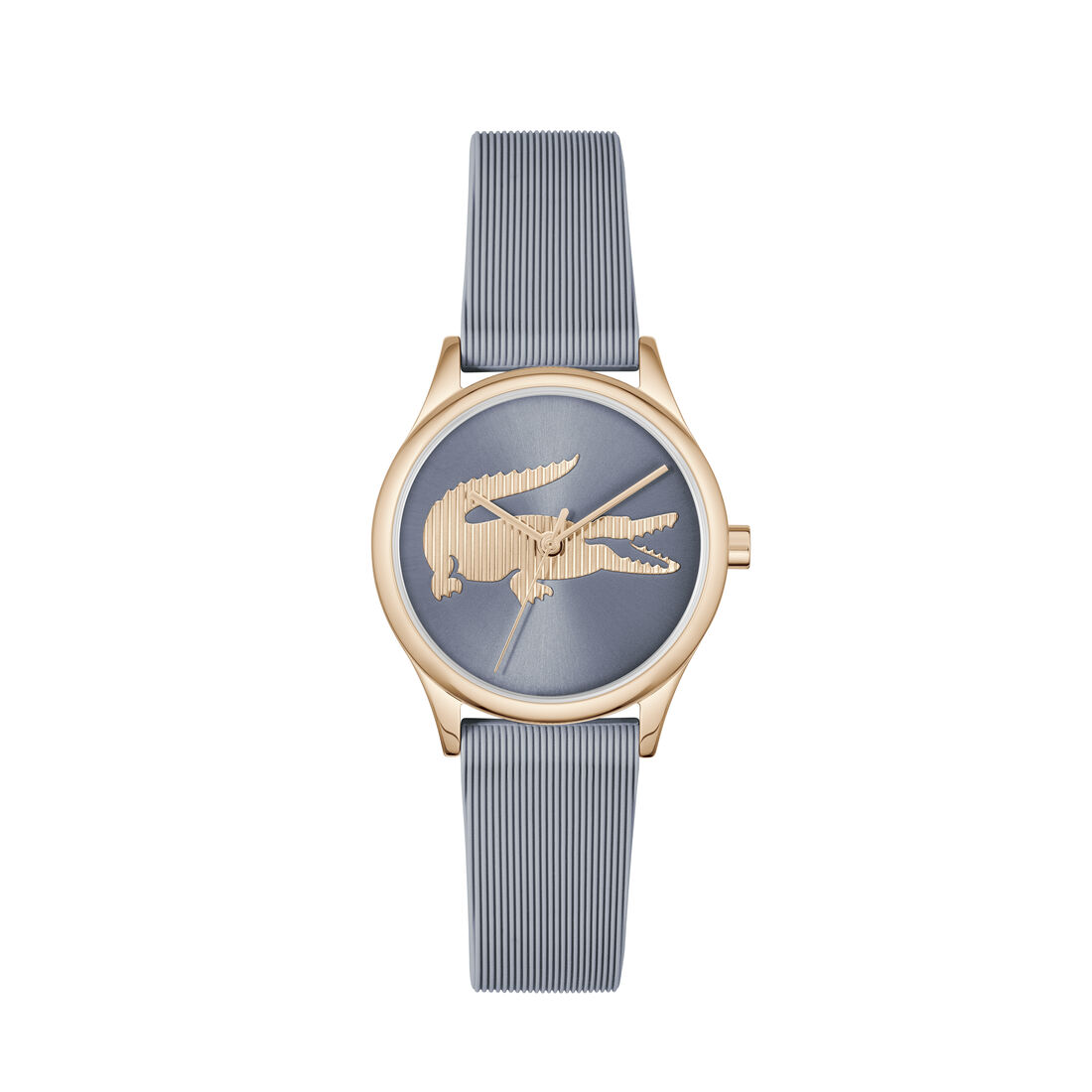 Crocodelle Watch Crocodelle Watch