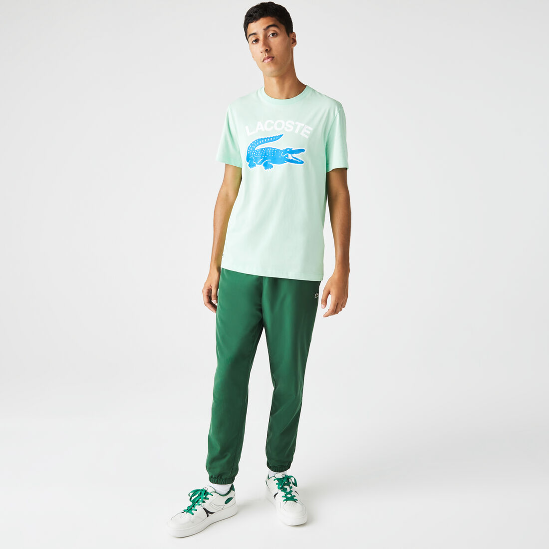 تيشيرت لاكوست بقصة عادية وشعار التمساح بحجم كبير للرجال تيشيرت لاكوست بقصة عادية وشعار التمساح بحجم كبير للرجال