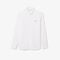 Regular Fit Cotton Shirt Regular Fit Cotton Shirt