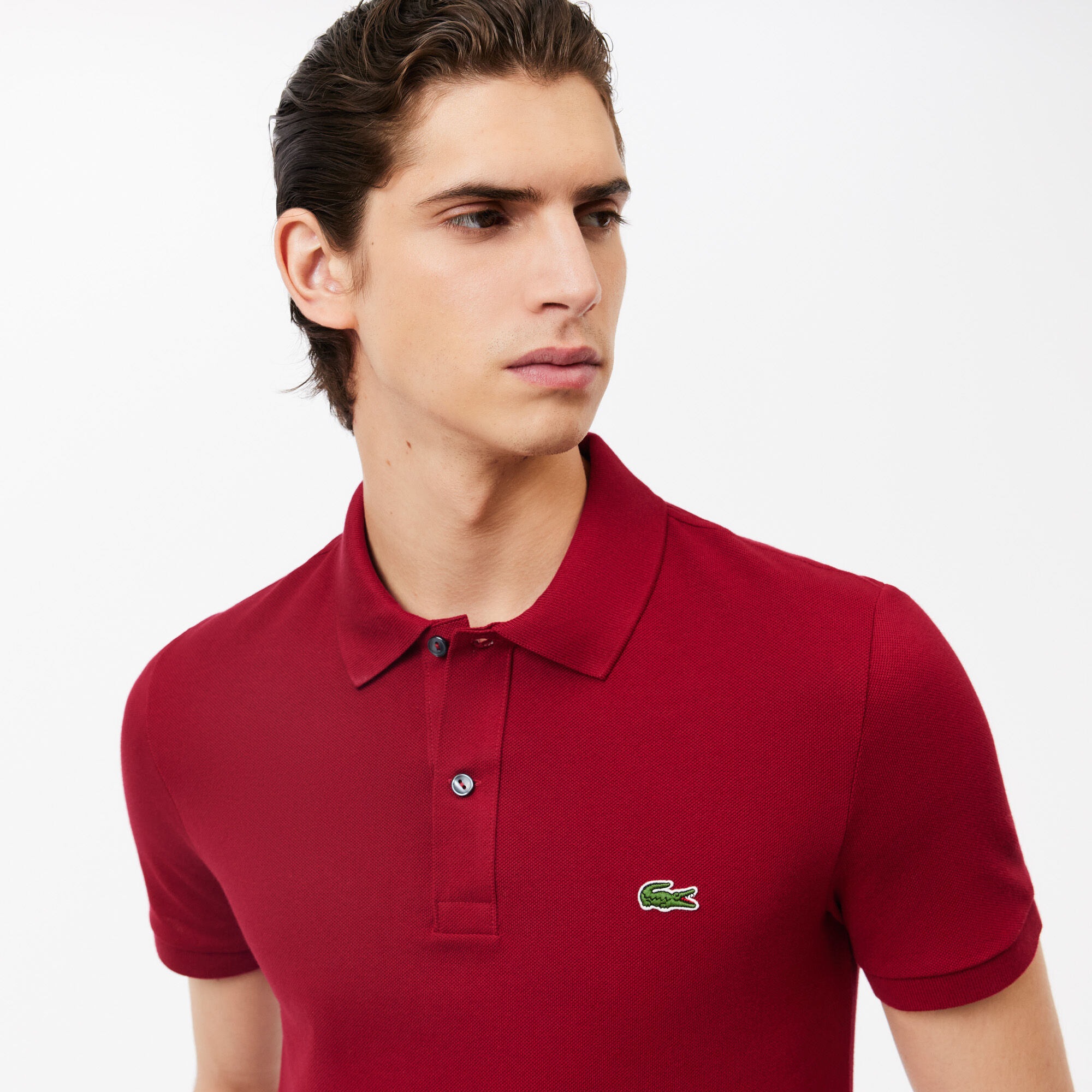Polo Shirts for Men at Best Prices Lacoste Qatar