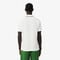 Classic Fit Graphic Petit Pique Polo Shirt lacoste classic fit graphic petit pique polo shirt