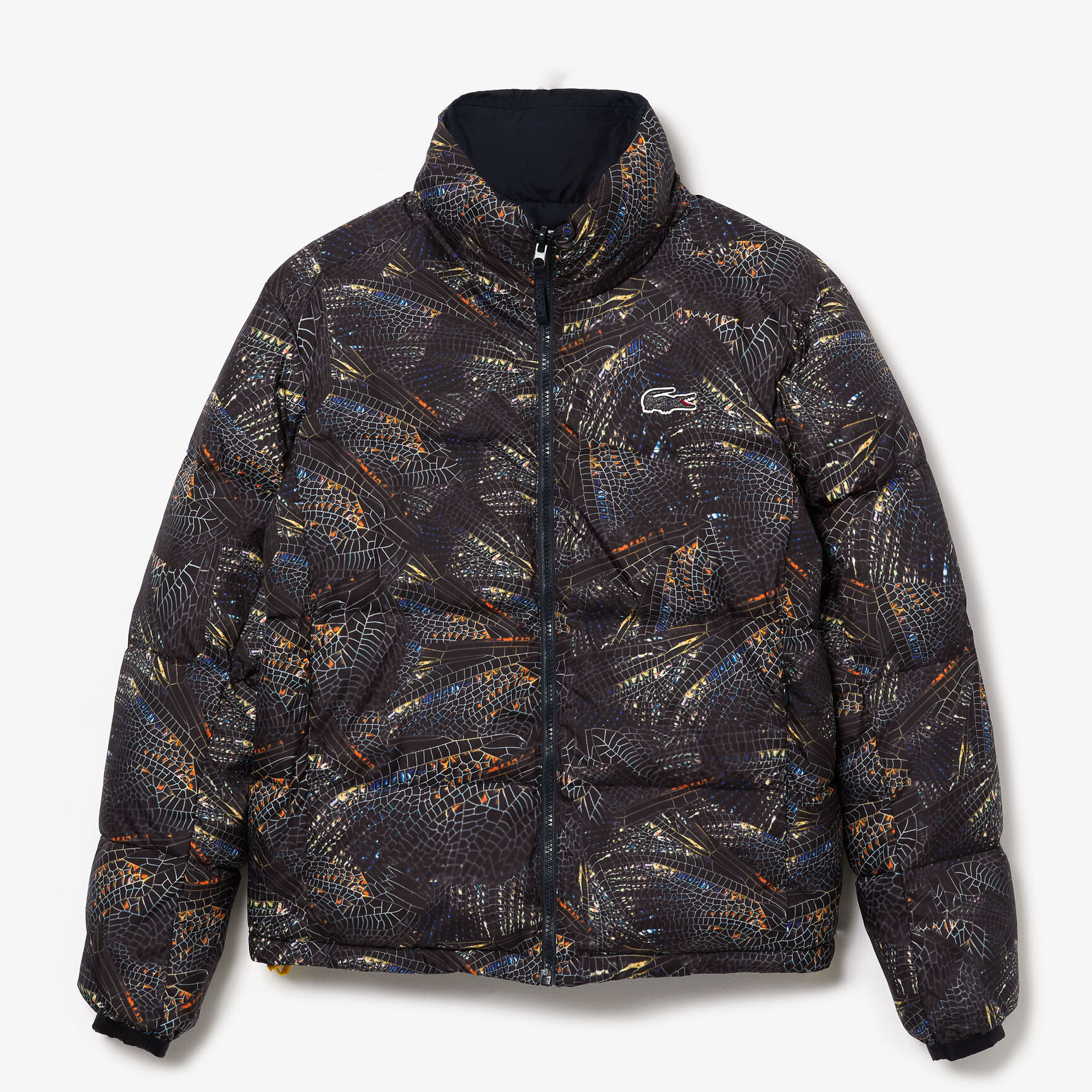 جاكيت مبطن مع طبعات من مجموعة National Geographic للنساء