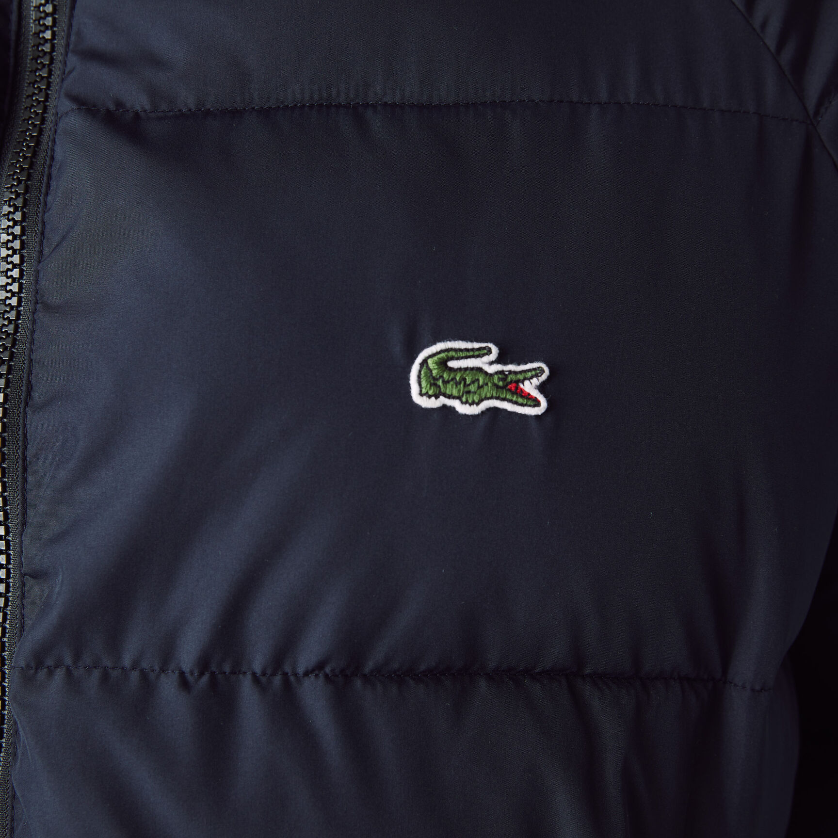 جاكيت مبطن بوجهين وسحّاب للرجال مجموعة Lacoste x National Geographic