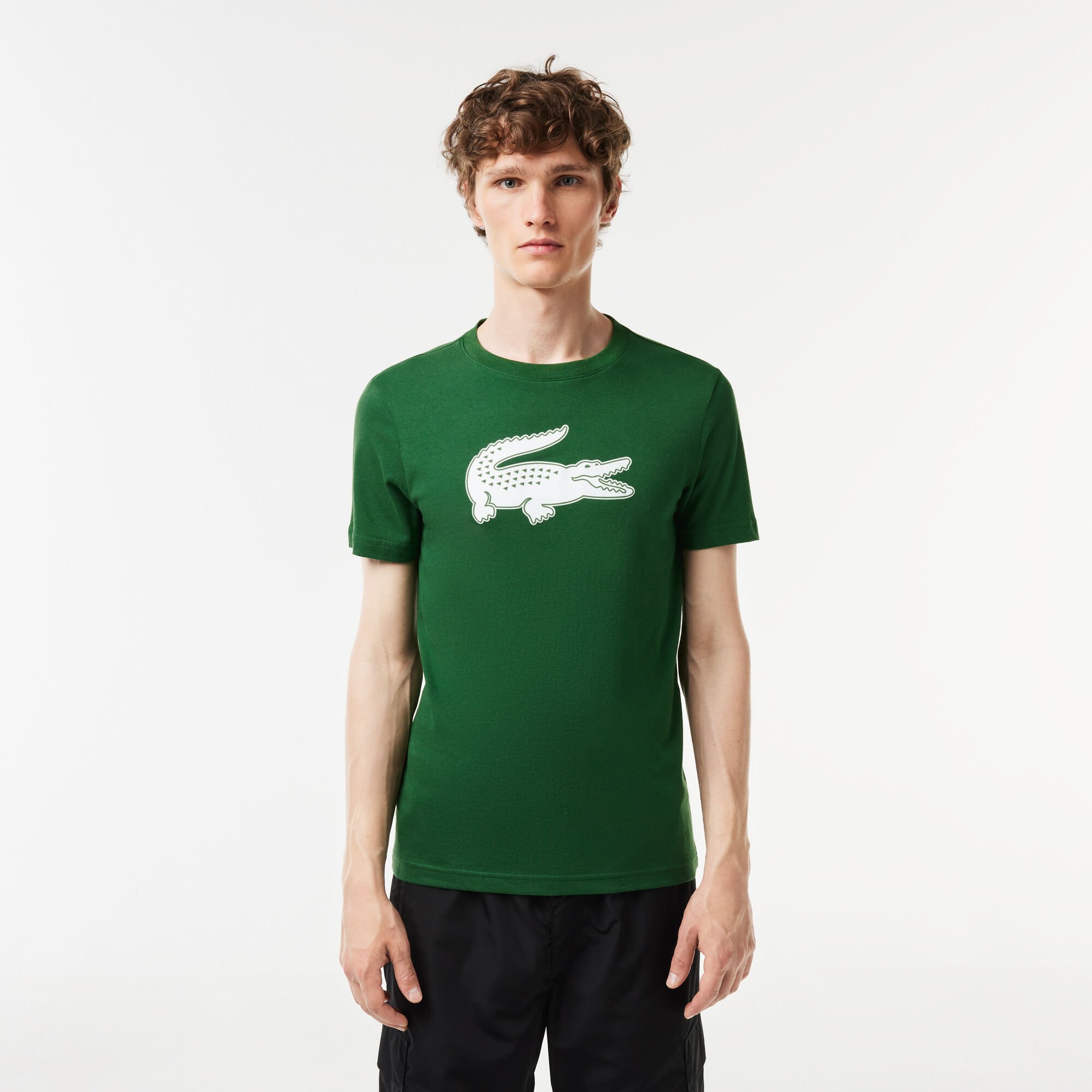 Lacoste t shirt xxl shop