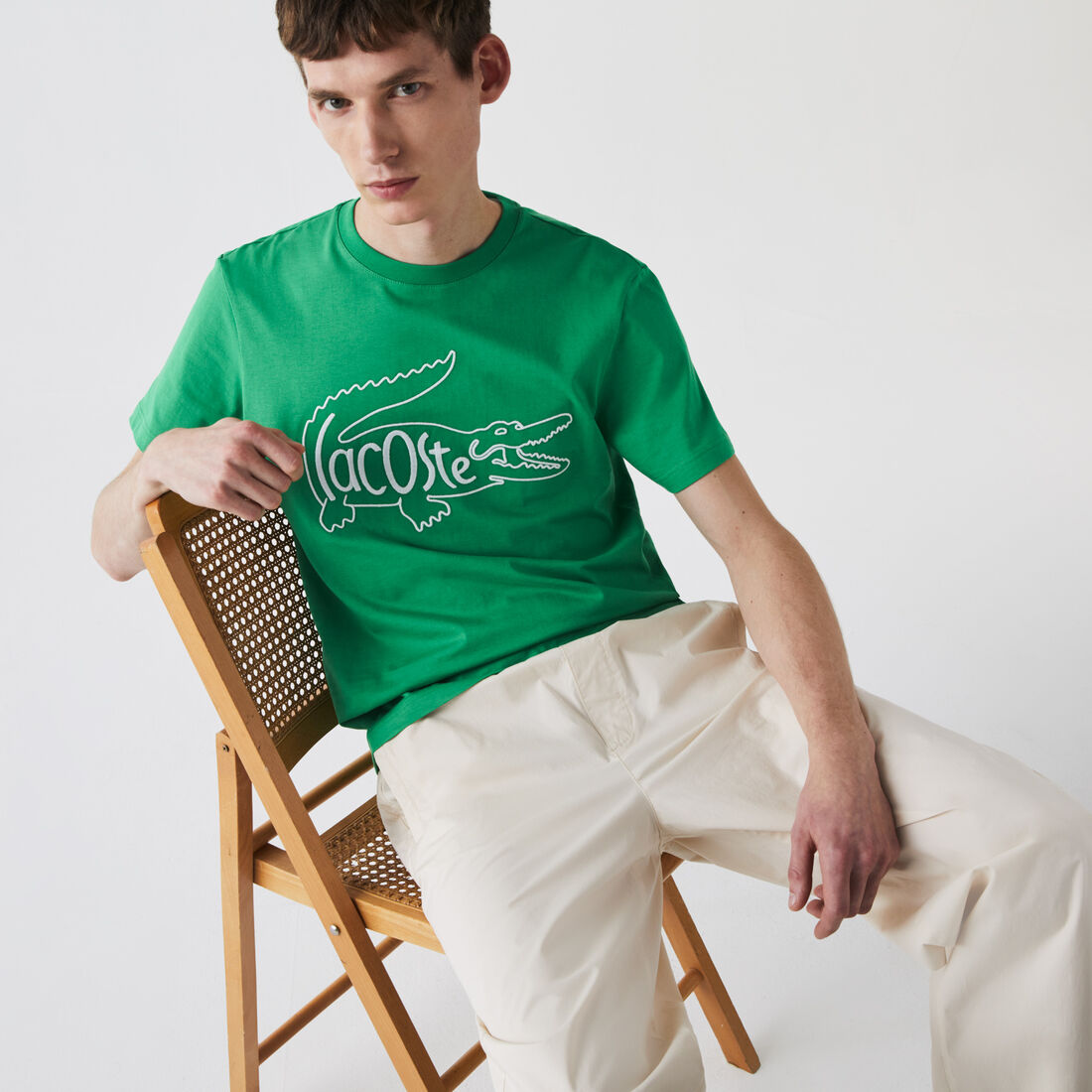 تي شيرت قطن بفتحة رقبة مستديرة للرجال وتطريز التمساح تي شيرت قطن بفتحة رقبة مستديرة للرجال وتطريز التمساح