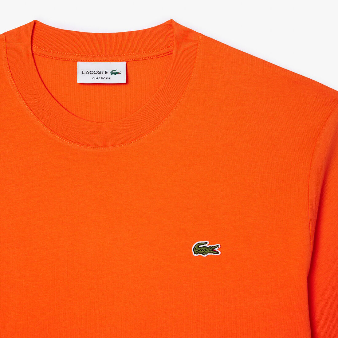 Cotton T-shirt Cotton T-shirt
