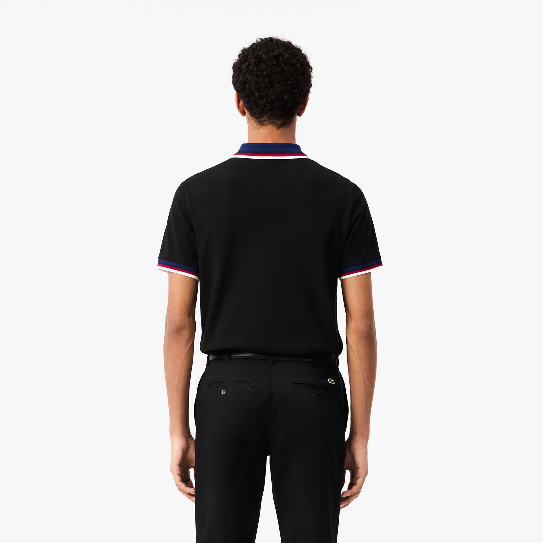 Regular Fit Contrast Collar Polo Shirt