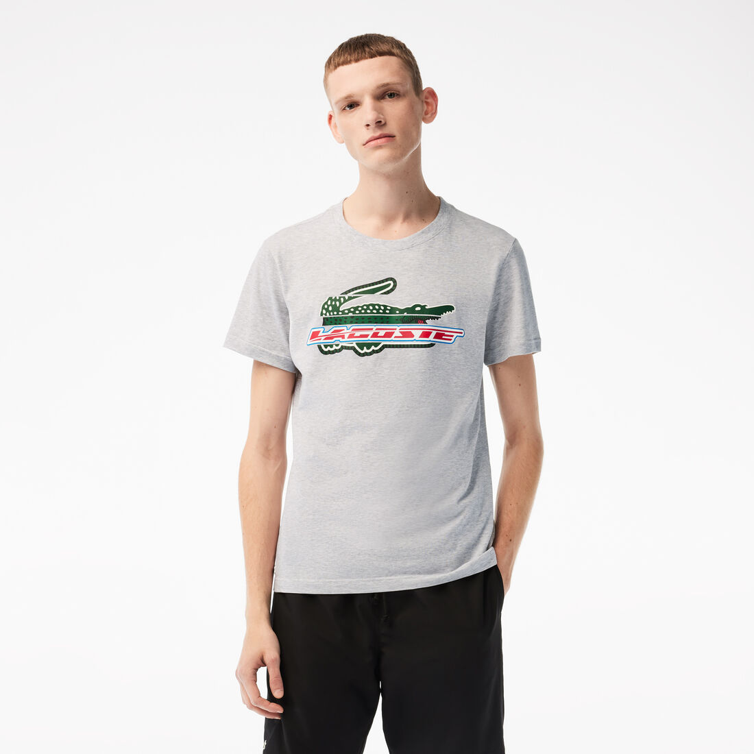 تيشيرت لاكوست قطن عضوي بقصة عادية للرجال مجموعة Lacoste SPORT