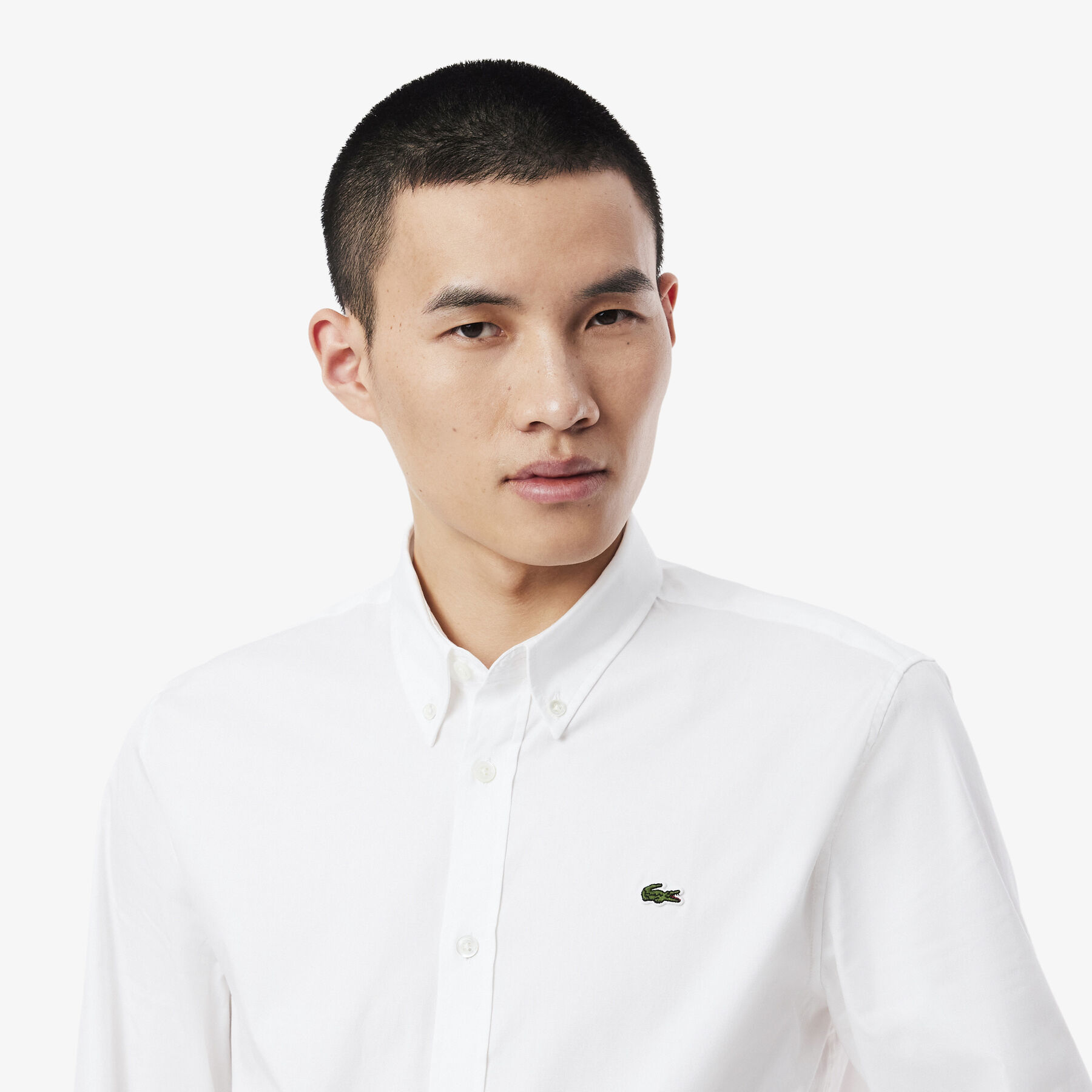 lacoste men s slim fit premium cotton shirt