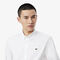 lacoste men s slim fit premium cotton shirt