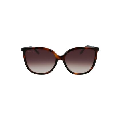 Women’s Tubular Temple Butterfly Acetate Sunglasses