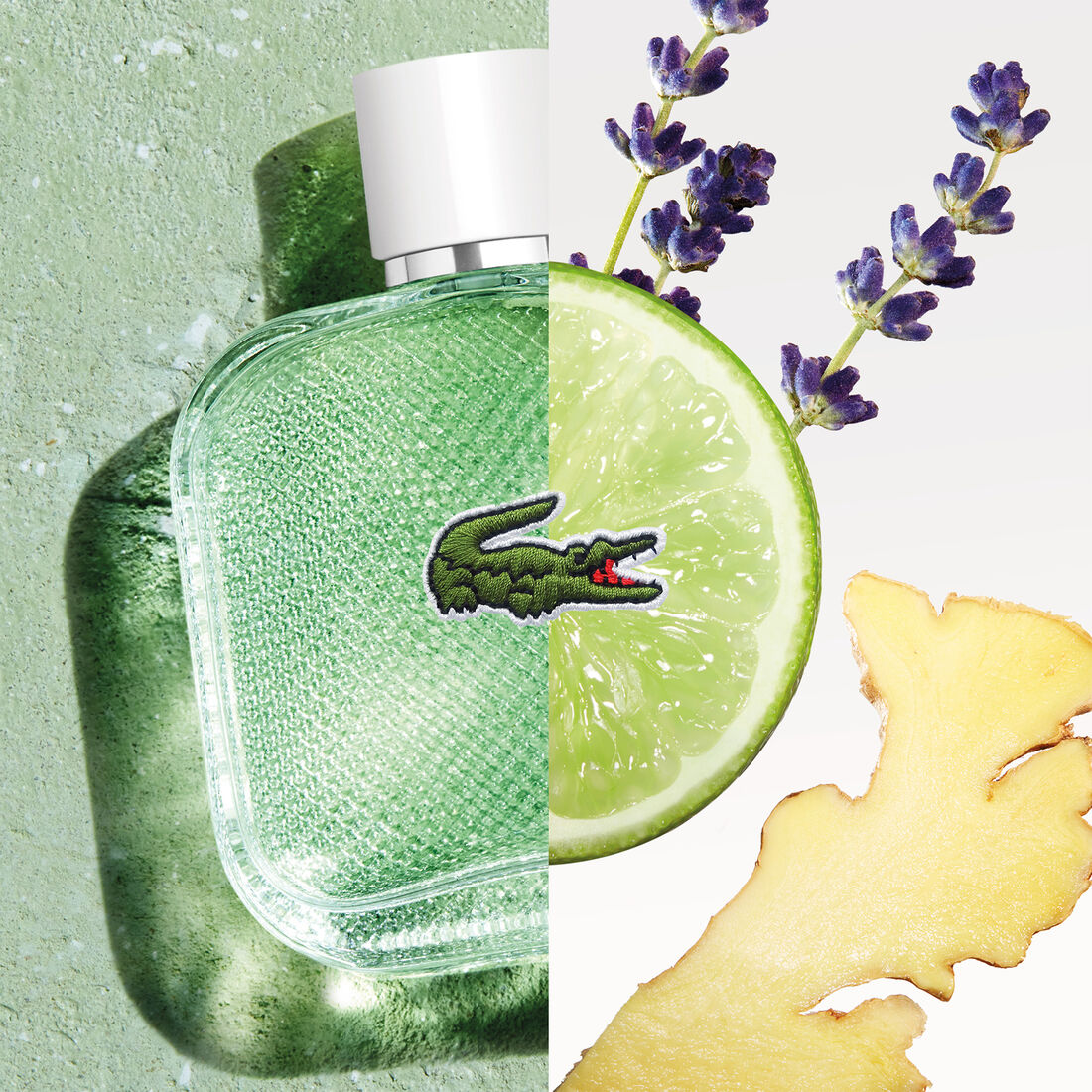 L1212 Blanc Eau Fraiche Edt 100ml L1212 Blanc Eau Fraiche Edt 100ml