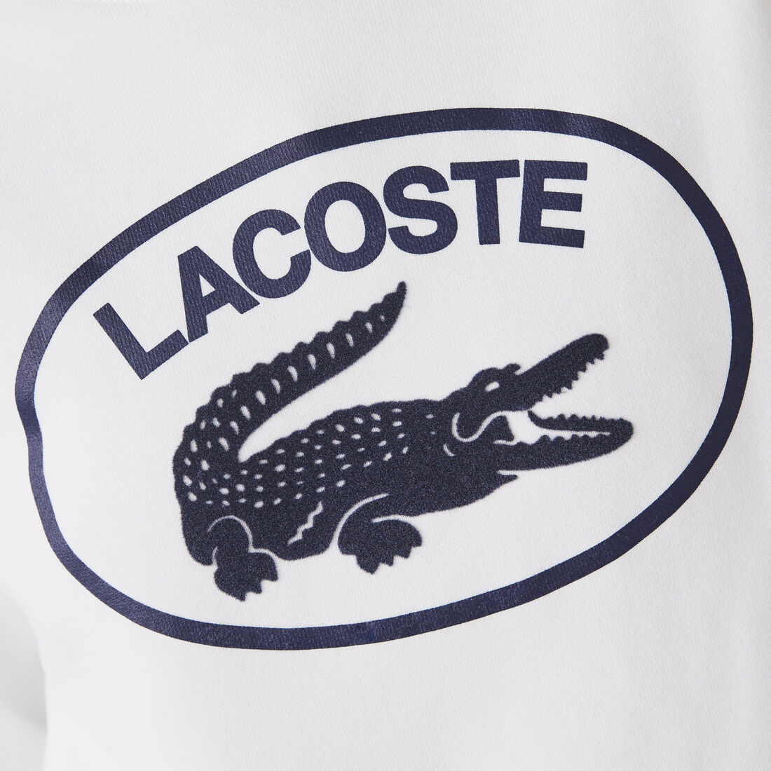 سويت شيرت صوف قطن عضوي بقصة فضفاضة للنساء سويت شيرت صوف قطن عضوي بقصة فضفاضة للنساء