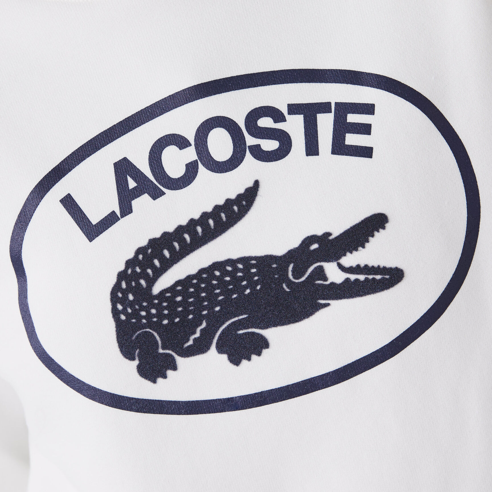 سويت شيرت صوف قطن عضوي بقصة فضفاضة للنساء سويت شيرت صوف قطن عضوي بقصة فضفاضة للنساء