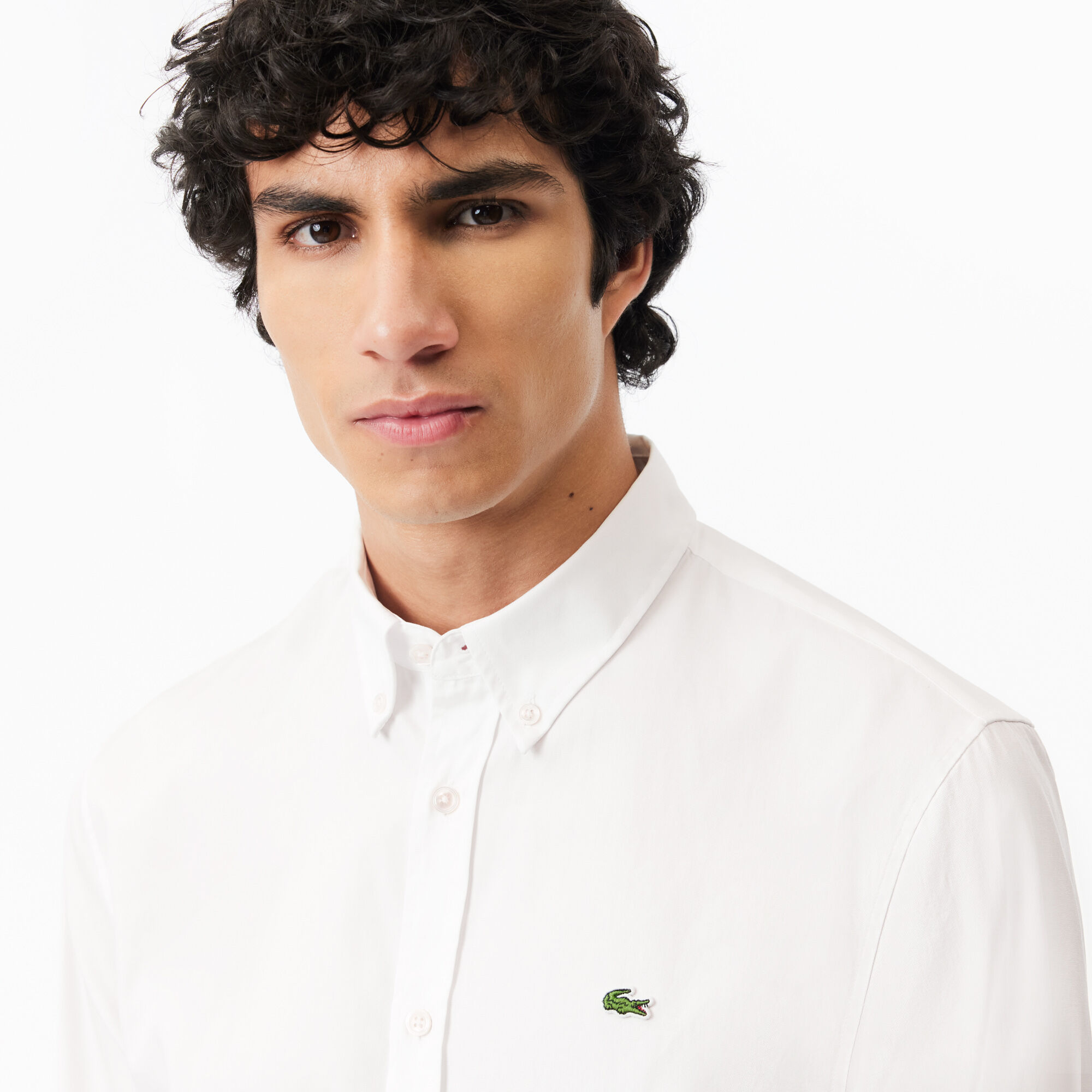 Lacoste formal shirts shop