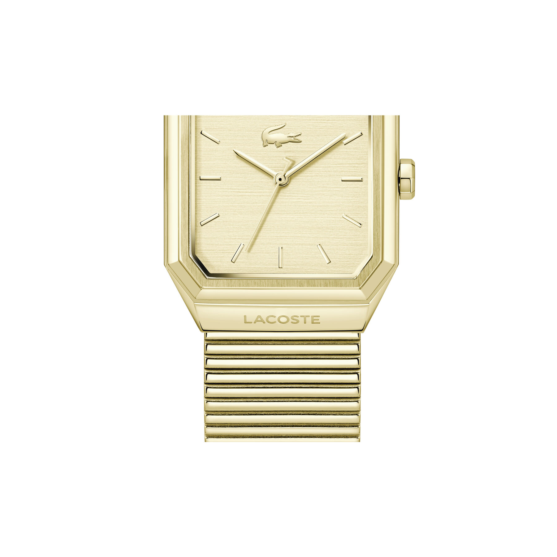 lacoste rene men s watch